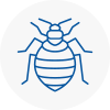 Bed Bug Extermination In Ashby De La Zouch