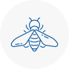 Bee Nest Removal Ashby De La Zouch