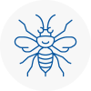 Ashby De La Zouch Hornet Nest Removals