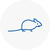 Mice Exterminators In Ashby De La Zouch