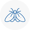 Moth Control Specialists In Ashby De La Zouch