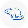 Rat Control Ashby De La Zouch