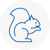 Ashby De La Zouch Rodent Removals